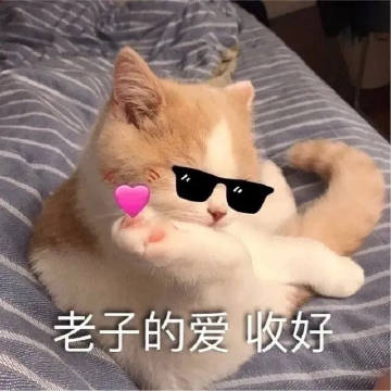 专家关联多账号2
