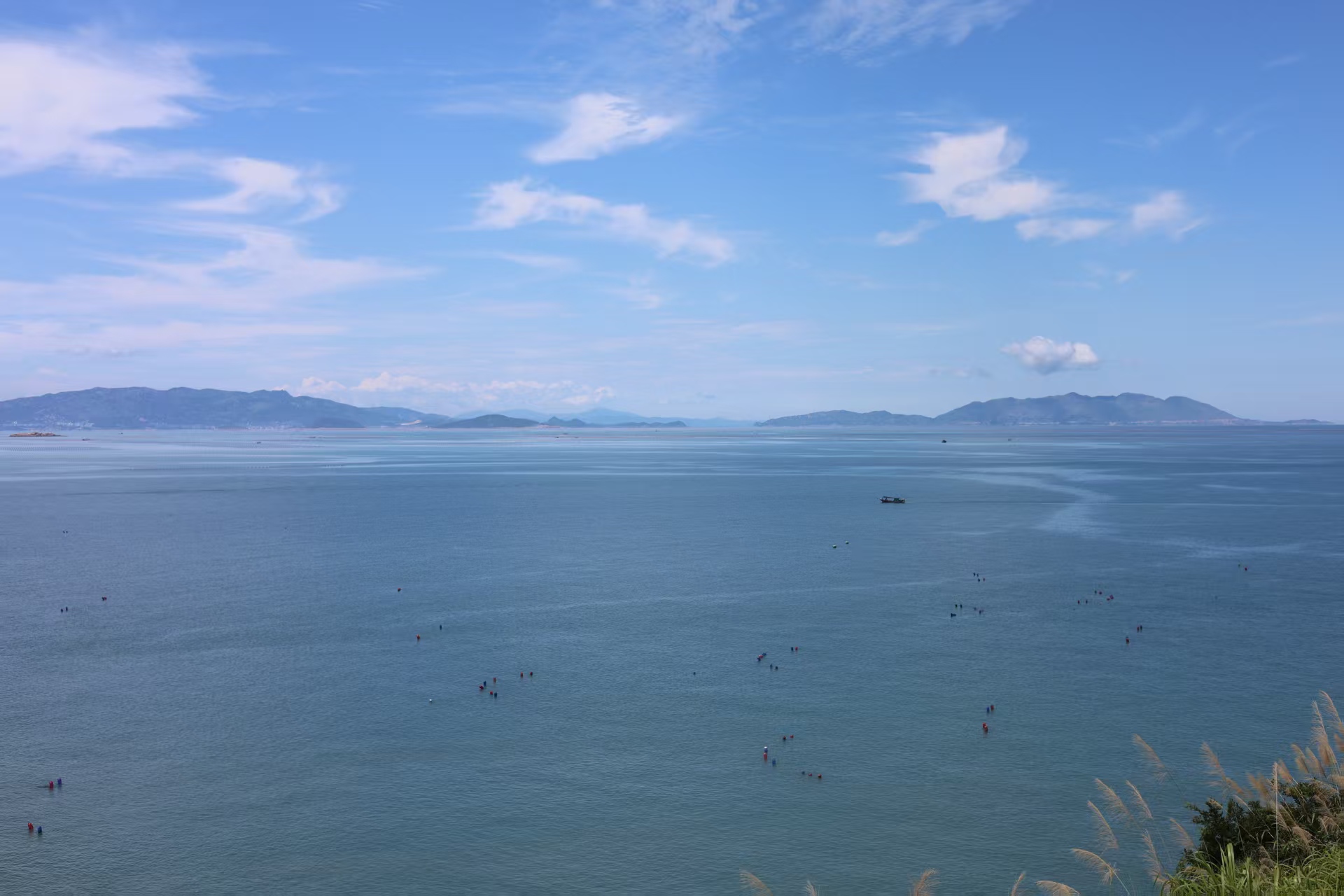 【胜负14场-足球-003】测试文章