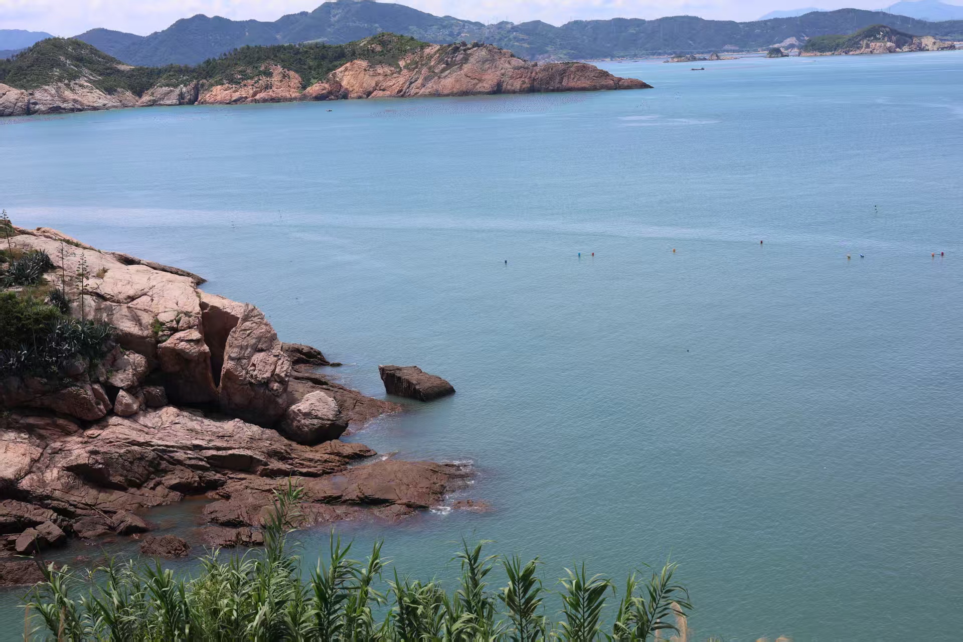 【直播总结-足球-007】测试文章